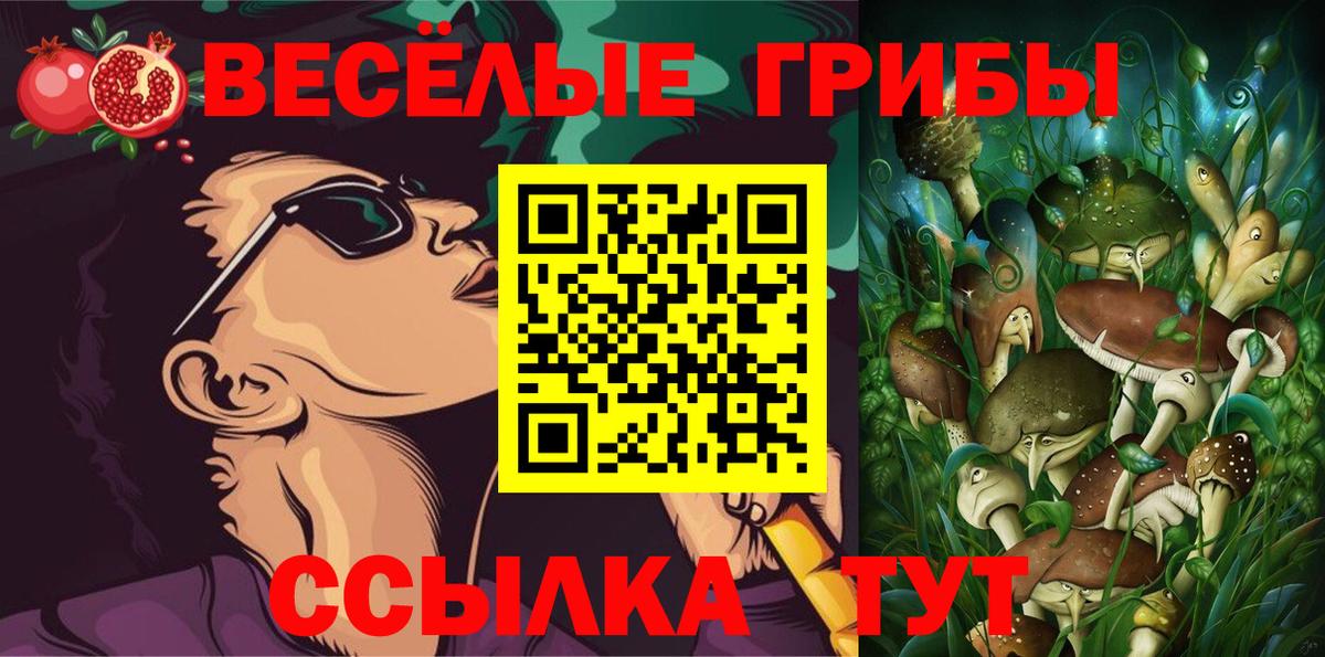 Галлюциногенные грибы Cubensis Белово