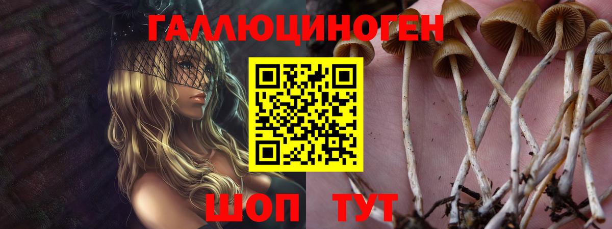 Галлюциногенные грибы ЛСД  Вход с VPN  закладка  Белово 